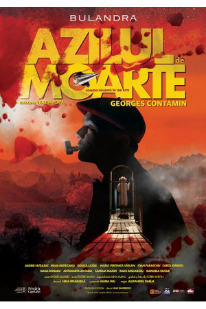 Azilul de moarte
