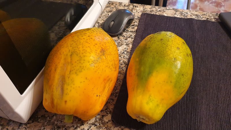 papaya canary islands