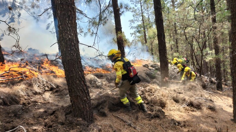 tenerife forest fire august 2023 arafo candelaria 
