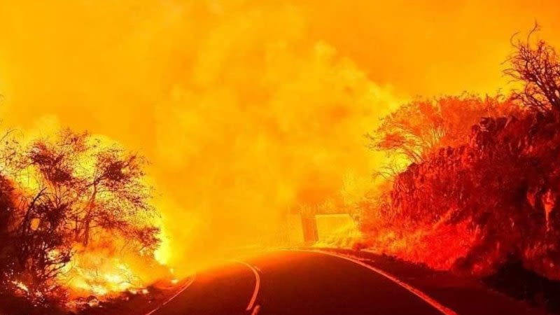 wildfire tenerife canary islands august 2023 