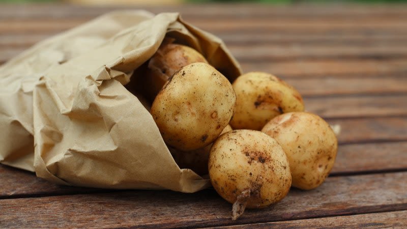 canary islands potatoes uk import 