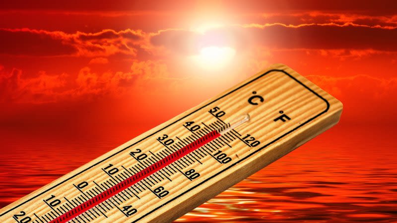 high temperatures heatwave canary islands summer 2022