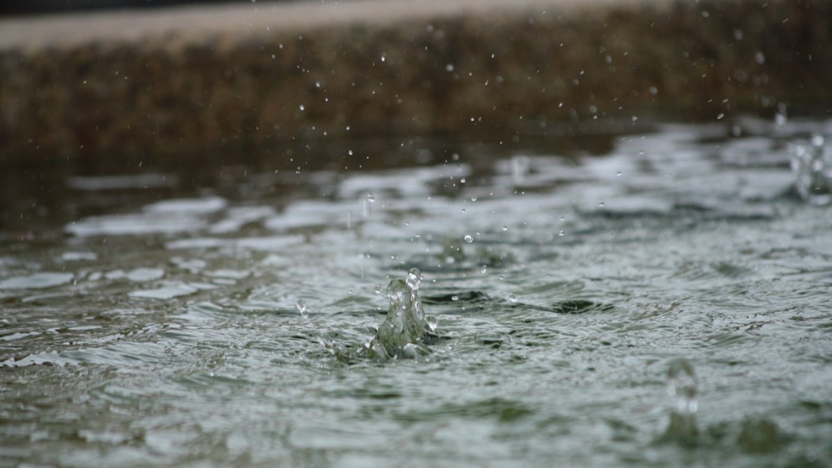 Heavy rains in the Canary Islands from this afternoon as Storm Hermine