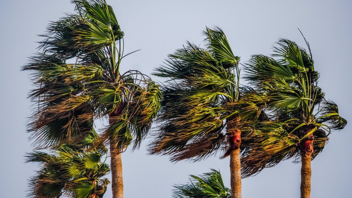 Yellow Alerts Activated In The Canary Islands Due To Effects Of Storm ...