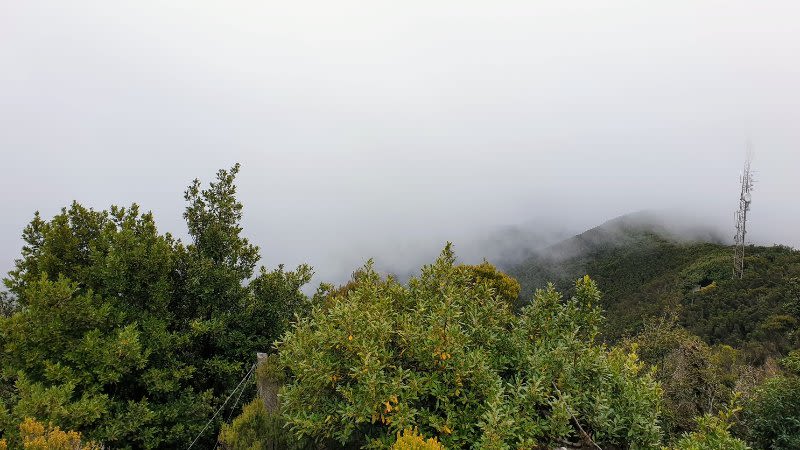 microclimates tenerife anaga canary islands