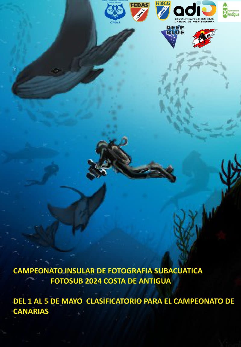 caleta fuste underwater photography 2024 fuerteventura