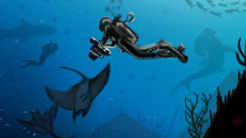 caleta fuste underwater photography 2024 
