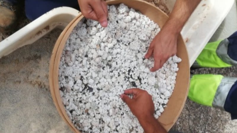 sand stones shells confiscated fuerteventura airport canary islands 