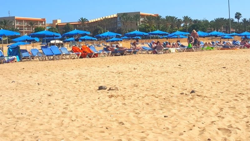 caleta de fuste fuerteventura