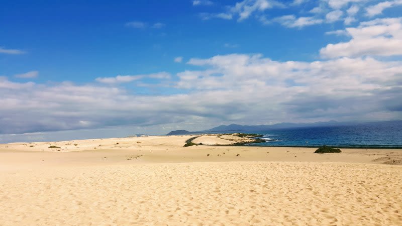 corralejo sand dunes 