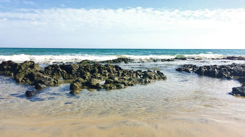 10 Best Things To Do In Costa Calma 21 Guide Fuerteventura