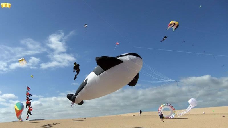 Fuerteventura kite festival