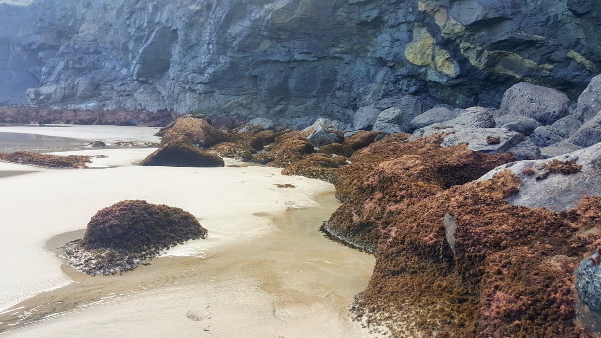 Does It Snow in Fuerteventura?