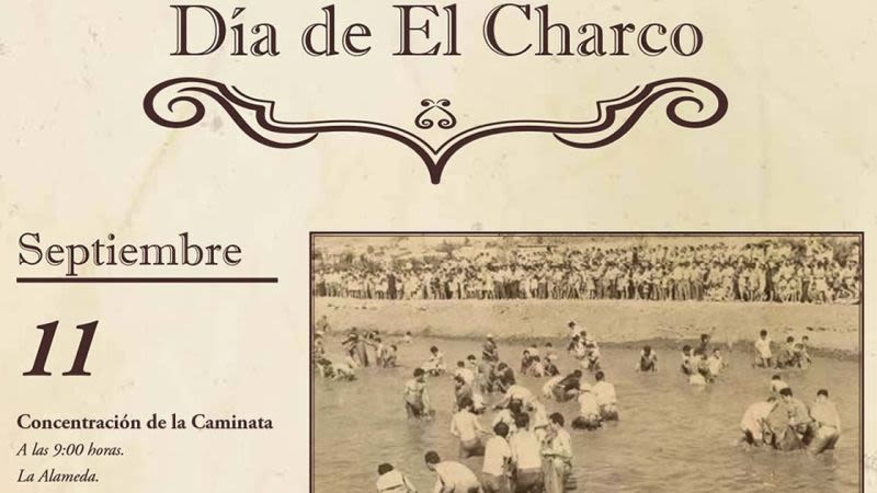 Fiesta del charco la aldea