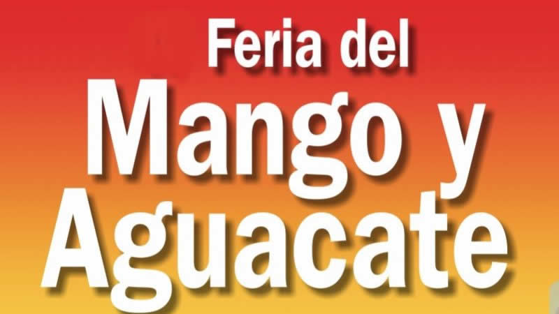 feria mango aguacate mango avocado fair mogan gran canaria