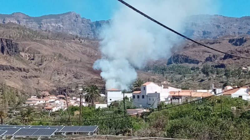 forest fire gran canaria
