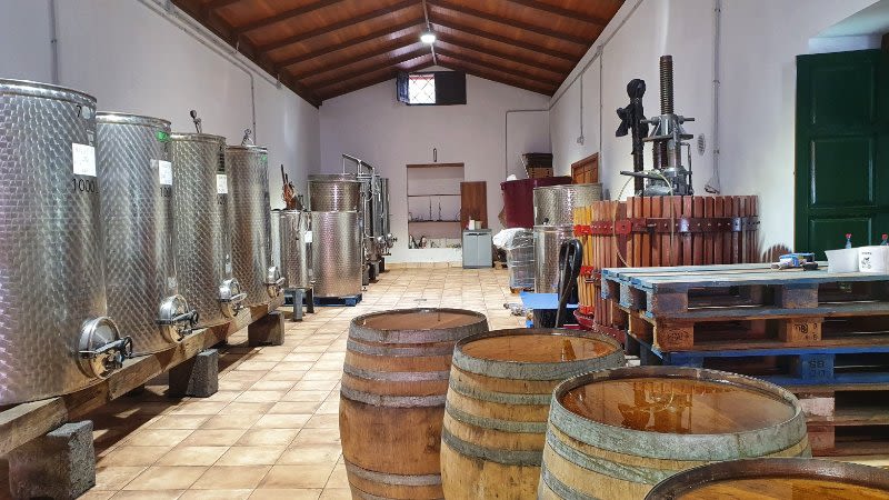 canarian wine el mocanal gran canaria