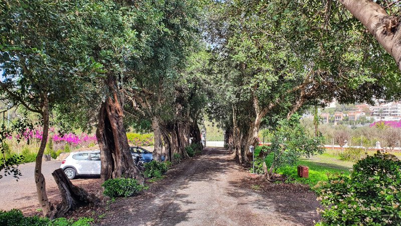 finca el mocanal gran canaria