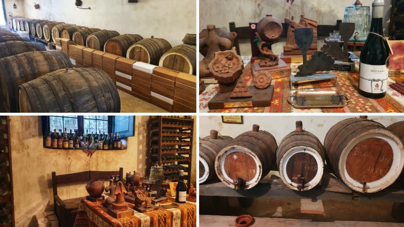 winemaking gran canaria canary islands bodega san juan finca el mocanal