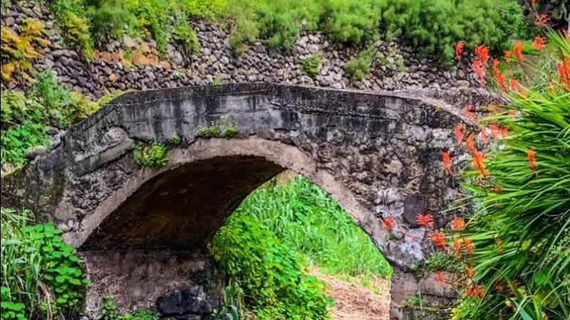 el alamo trail teror gran canaria 