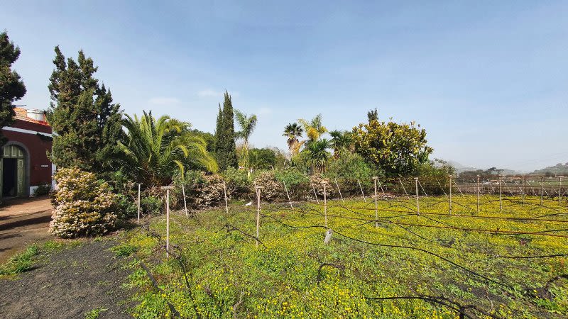 finca el mocanal gran canaria 