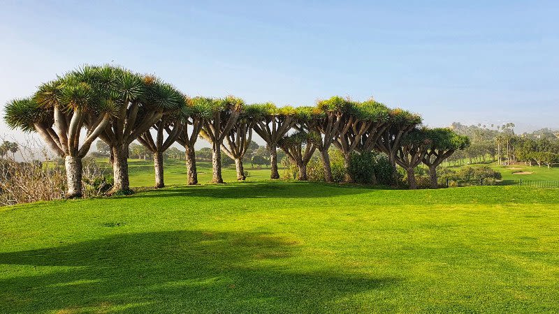 golf course gran canaria canary islands spain