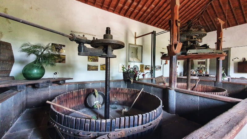 wine making museum gran canaria