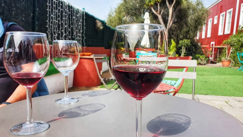 wine tasting canary islands