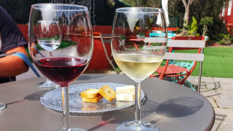 wine tasting gran canaria