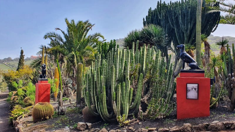 winery gran canaria spain