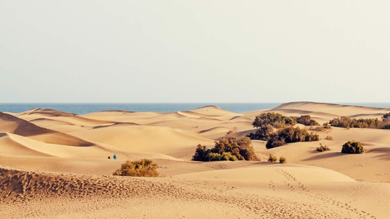 Maspalomas Beach and Sand Dunes Must See in Gran Canaria