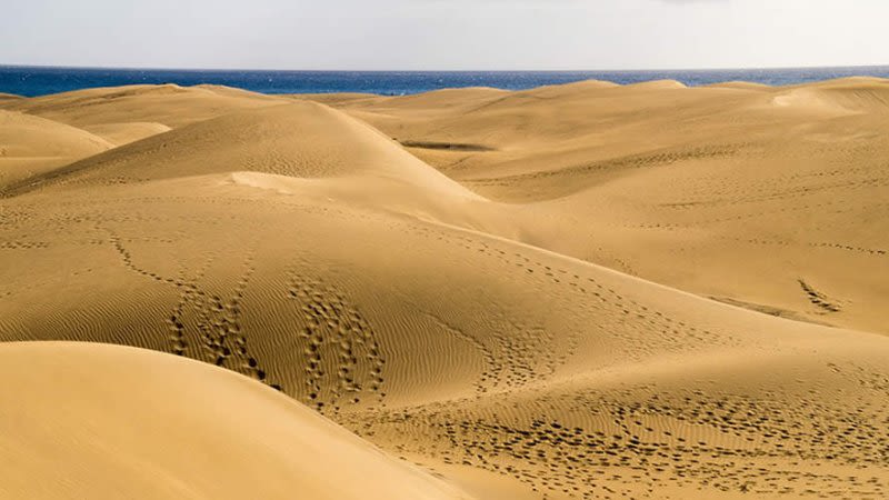 Maspalomas Beach and Sand Dunes Must See in Gran Canaria