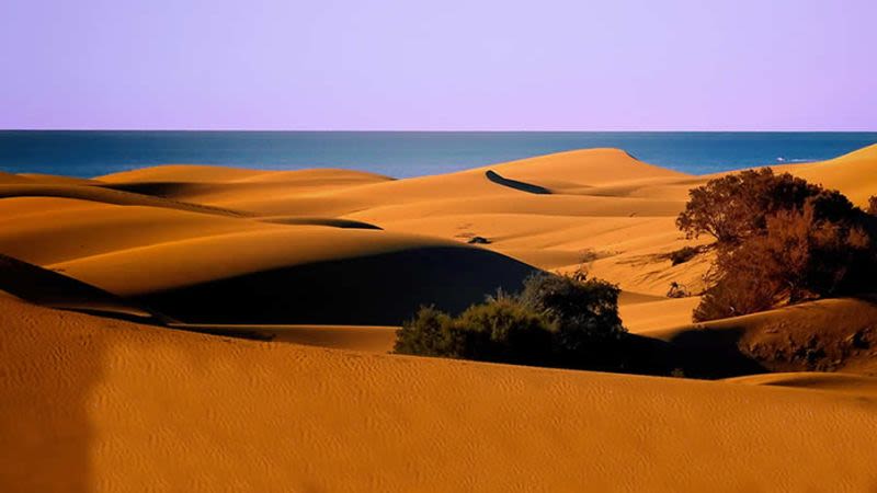 Weather gran canaria january