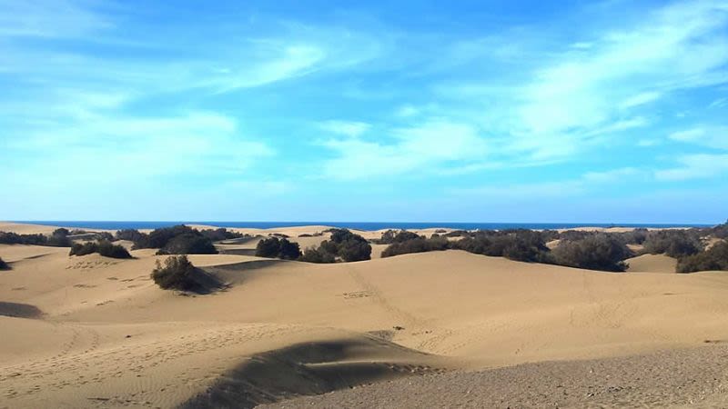 Maspalomas weather january