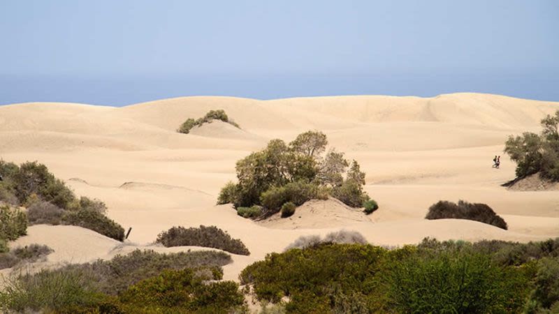 Maspalomas playa del ingles weather may