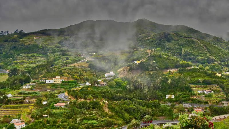 garajonay natural park la gomera