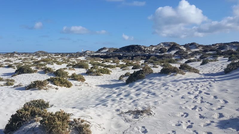 Lanzarote caleton blanco