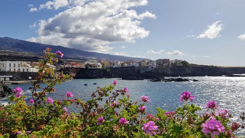 Alcala tenerife