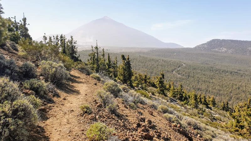 alto de guamaso tenerife hike 