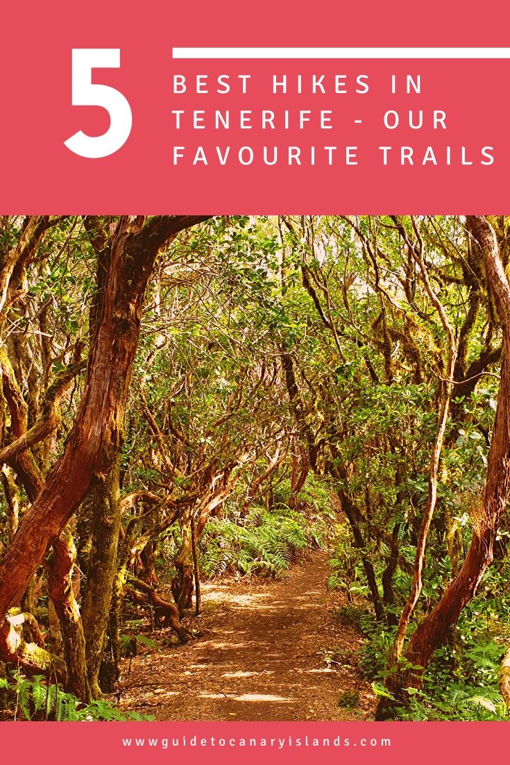 Best Hikes in Tenerife - Our Top 6 Favourite Hiking Trails