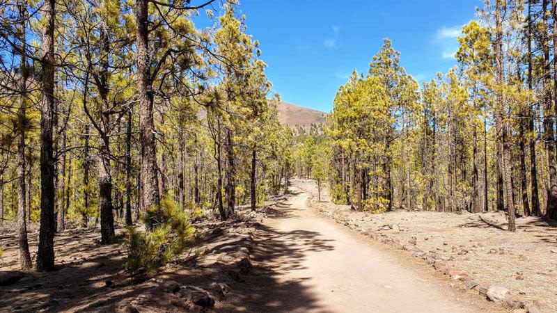 Best Hikes In Tenerife Our Top 5 Favourite Hiking Trails - 