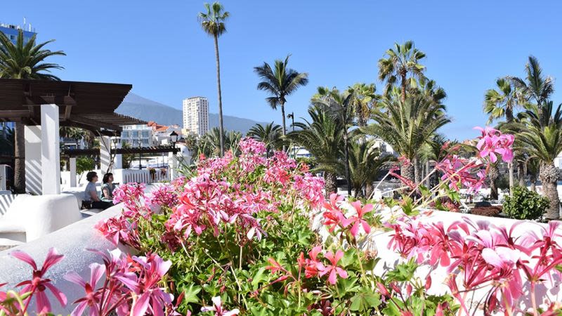 When to visit tenerife