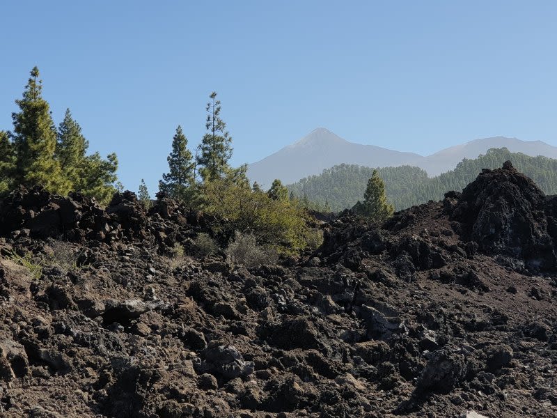 Chinyero Volcano Walk - Easy Hiking Trail in Tenerife