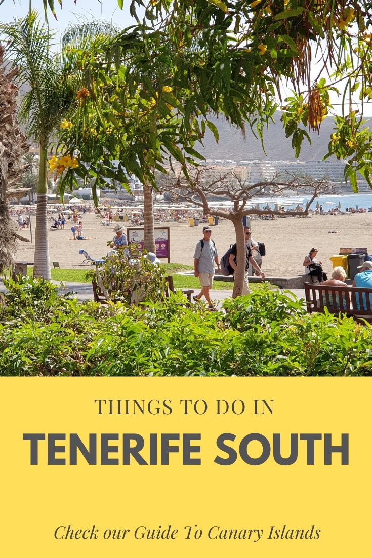 15 BEST Things To Do in Tenerife South - Beach, Tours, Activities