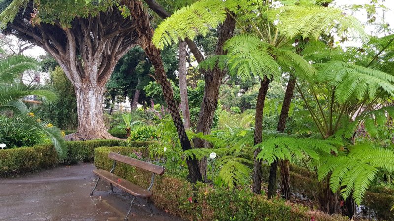 hijuela del botanico la orotava