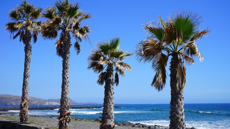 tenerife tourism 