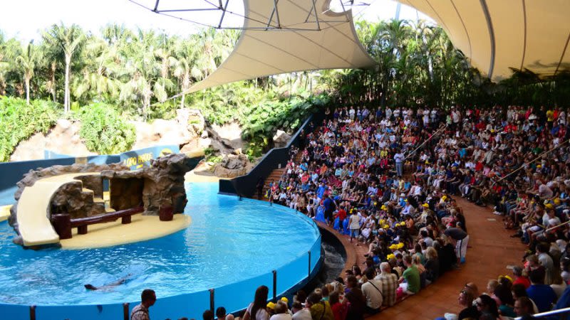Loro Parque Tenerife - All You Need To Know For Your Visit