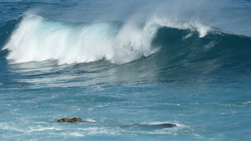 marazul tenerife