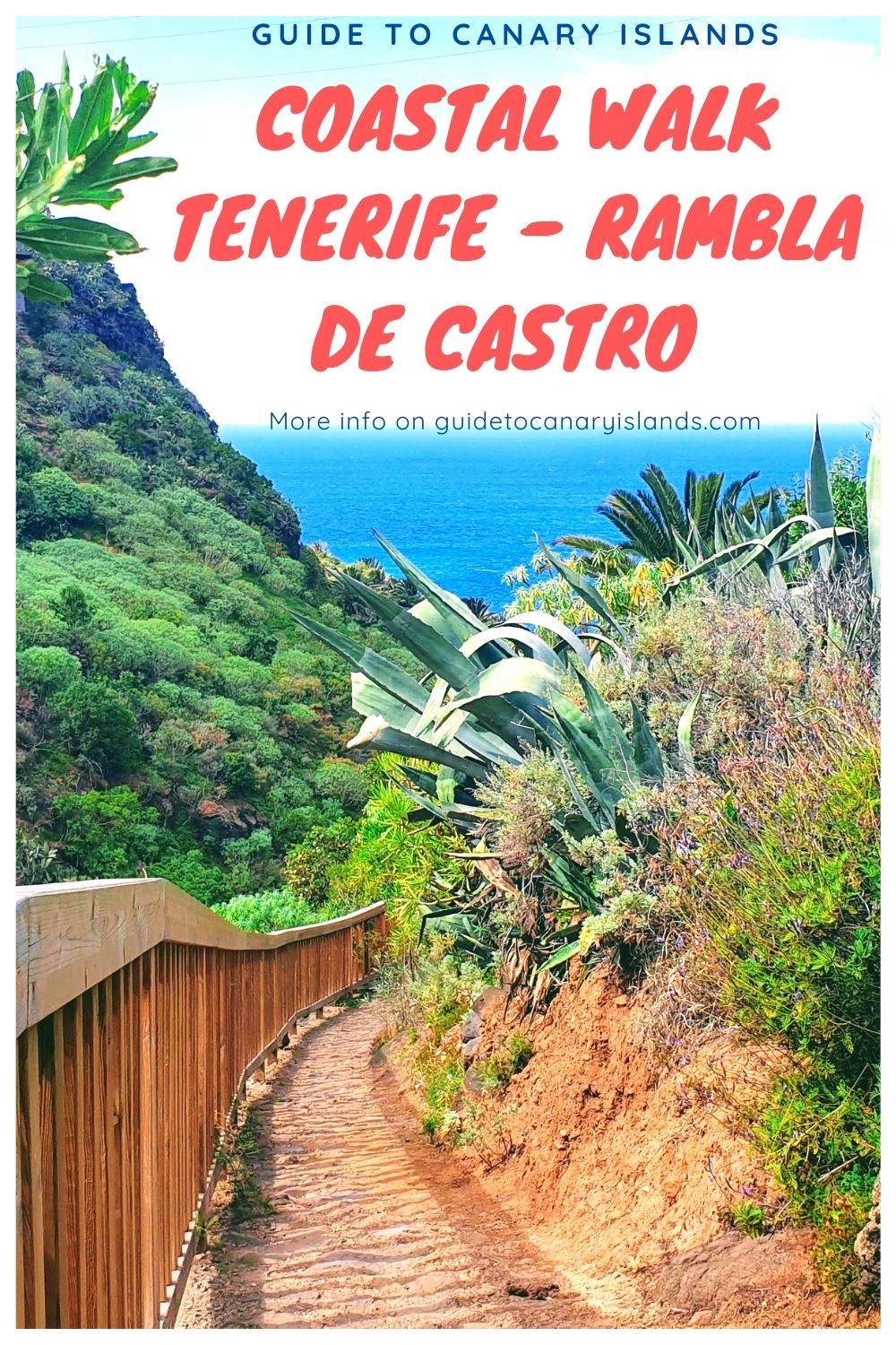 Rambla de Castro - An Amazing Coastal Walk in Tenerife