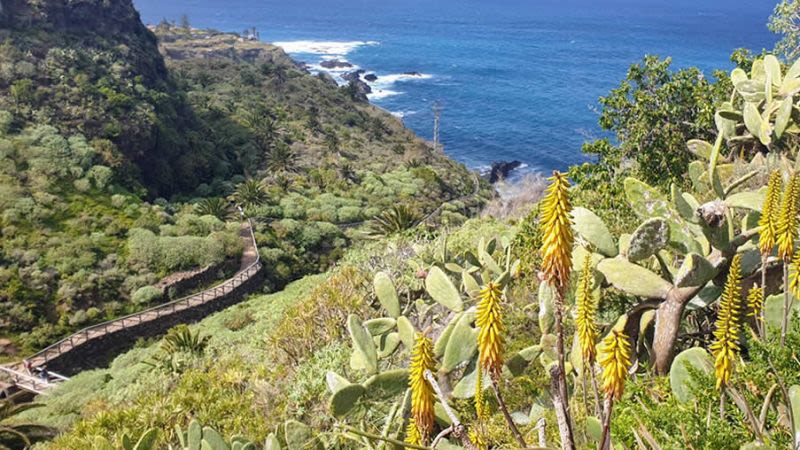 Rambla castro tenerife walk